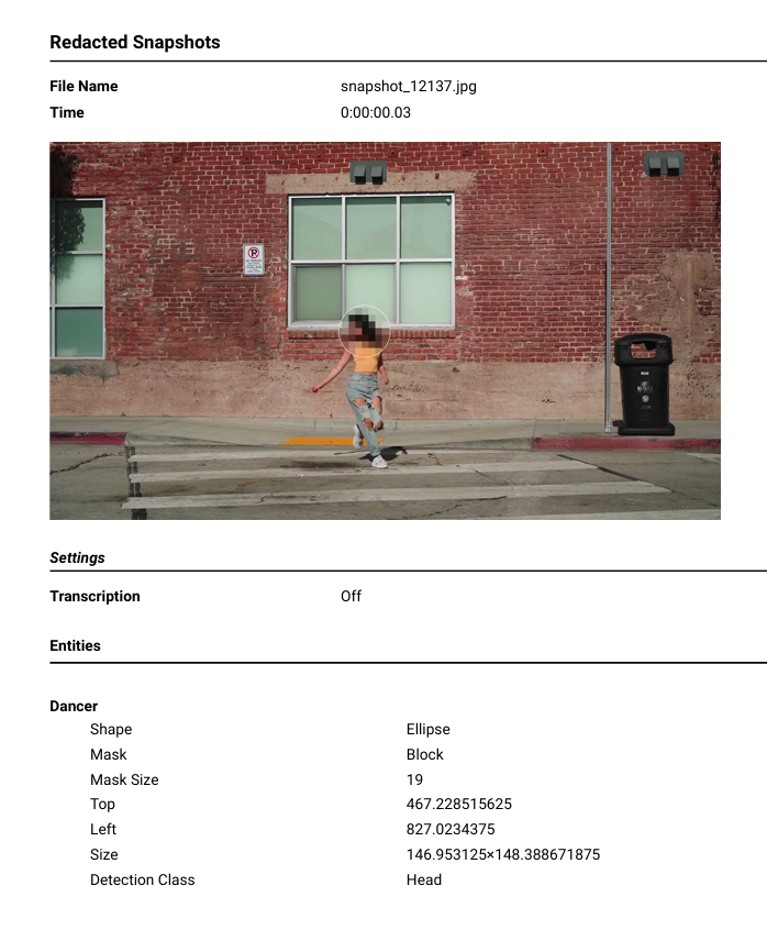Redaction report exported from VeloSCN Blenda showing a redacted snapshot � an ellipse block mask over a detected head � with per-entity details: shape, mask type, mask size, position, and detection class.